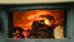 Mazurski biwak, w listopadzie, poznaj mobilne biuro Mazury24 - zdjęcie 21