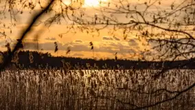 Mazurski zachód słońca, luty 2020 - zdjęcie 13