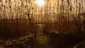 Mazurski zachód słońca, luty 2020 - zdjęcie 26