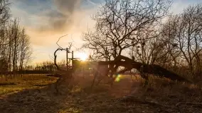 Mazurski zachód słońca, luty 2020 - zdjęcie 20