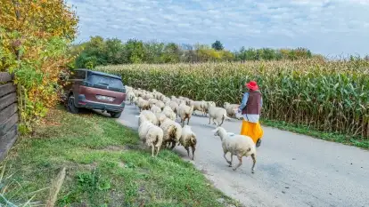 Fotorelacja - I Redyk Mazurski, Sołdany 2022
