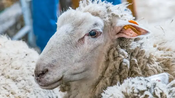 Fotorelacja - I Redyk Mazurski, Sołdany 2022 - zdjęcie 11