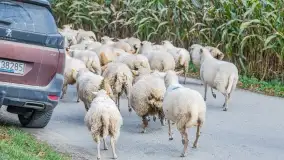 Fotorelacja - I Redyk Mazurski, Sołdany 2022 - zdjęcie 22