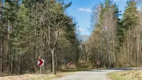 Mazurski las u progu wiosny, marzec 2020 - zdjęcie 19