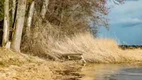 Przedwiośnie na mazurskich polach i łąkach, marzec 2021 - zdjęcie 2