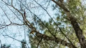 Przedwiośnie na mazurskich polach i łąkach, marzec 2021 - zdjęcie 22