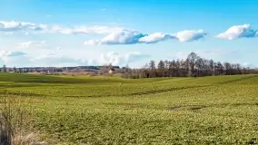 Przedwiośnie na mazurskich polach i łąkach, marzec 2021 - zdjęcie 29