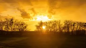 Przedwiośnie na mazurskich polach i łąkach, marzec 2021 - zdjęcie 1