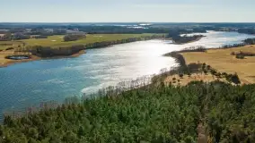 Początki wiosny 2022, leśne krajobrazy - zdjęcie 2