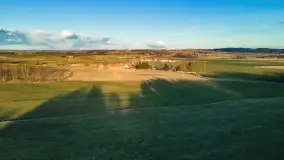 Początki wiosny 2022, leśne krajobrazy - zdjęcie 23