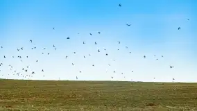 Początki wiosny 2022, leśne krajobrazy - zdjęcie 15