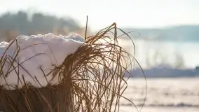 Stranda w pięknej, grudniowej i zimowej scenerii - zdjęcie 19