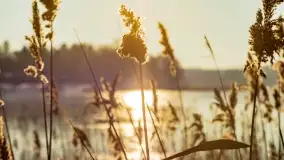 Stranda w pięknej, grudniowej i zimowej scenerii - zdjęcie 21