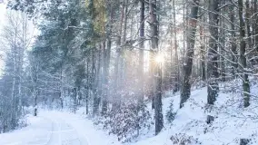 Zimowe okolice Szczytna na zdjęciach Marty Sotnik - zdjęcie 18