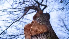 Zimowe okolice Szczytna na zdjęciach Marty Sotnik - zdjęcie 6