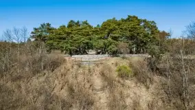 Cmentarz wojenny Jagerhohe i jezioro Święcajty na początku wiosny, 2022 - zdjęcie 13