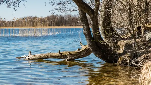 Cmentarz wojenny Jagerhohe i jezioro Święcajty na początku wiosny, 2022 - zdjęcie 3