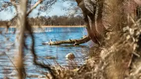 Cmentarz wojenny Jagerhohe i jezioro Święcajty na początku wiosny, 2022 - zdjęcie 19