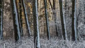 Bajkowe i zimowe klimaty nad jeziorem Dargin, grudzień 2022 - zdjęcie 36