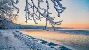 Bajkowe i zimowe klimaty nad jeziorem Dargin, grudzień 2022 - zdjęcie 54