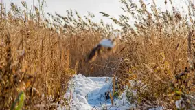 Zima nad Darginem w Zdorkowie w Harszu - zdjęcie 3