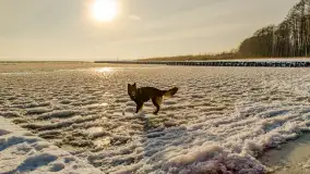 Zima nad Darginem w Zdorkowie w Harszu - zdjęcie 22