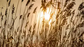 Zima nad Darginem w Zdorkowie w Harszu - zdjęcie 12