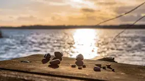 Zima już bez śniegu w Trygorcie, końcówka 2022 roku - zdjęcie 18