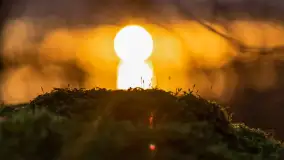 Grudniowy zachód słońca nad jeziorem Łabap - zdjęcie 33