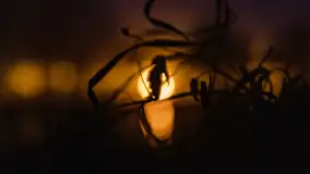 Grudniowy zachód słońca nad jeziorem Łabap - zdjęcie 35