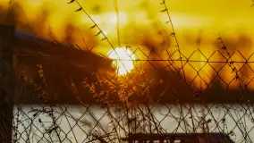 Wschód słońca nad jeziorem Śniardwy, Krzywy Róg - zdjęcie 41