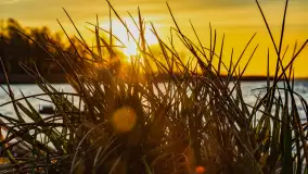 Wschód słońca nad jeziorem Śniardwy, Krzywy Róg - zdjęcie 36