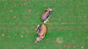 Wiosenny mix ujęć, kwiecień - czerwiec 2022 r. - zdjęcie 13