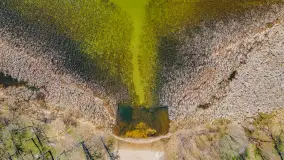 Wiosenny mix ujęć, kwiecień - czerwiec 2022 r. - zdjęcie 16