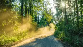 Wiosenny mix ujęć, kwiecień - czerwiec 2022 r. - zdjęcie 57