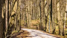 Wiosenny mix ujęć, kwiecień - czerwiec 2022 r. - zdjęcie 22