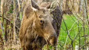 Wiosenny mix ujęć, kwiecień - czerwiec 2022 r. - zdjęcie 43