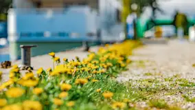 Wiosenny mix ujęć, kwiecień - czerwiec 2022 r. - zdjęcie 23