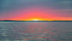 Wiosenny mix ujęć, kwiecień - czerwiec 2022 r. - zdjęcie 26