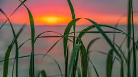 Wiosenny mix ujęć, kwiecień - czerwiec 2022 r. - zdjęcie 67