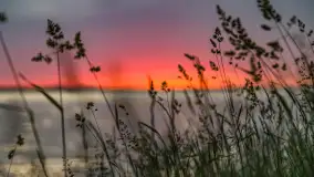 Wiosenny mix ujęć, kwiecień - czerwiec 2022 r. - zdjęcie 96