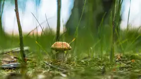 Wiosenny mix ujęć, kwiecień - czerwiec 2022 r. - zdjęcie 59