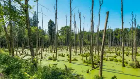 Wiosenny mix ujęć, kwiecień - czerwiec 2022 r. - zdjęcie 87