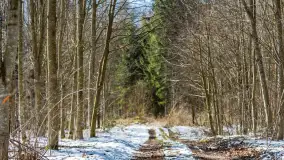 Trochę wiosny, trochę zimy... - zdjęcie 1