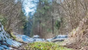 Trochę wiosny, trochę zimy... - zdjęcie 9