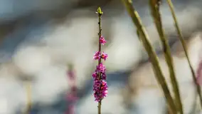 Trochę wiosny, trochę zimy... - zdjęcie 20