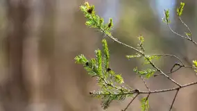 Trochę wiosny, trochę zimy... - zdjęcie 7