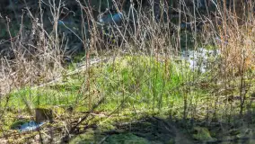 Trochę wiosny, trochę zimy... - zdjęcie 17