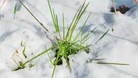 Trochę wiosny, trochę zimy... - zdjęcie 21