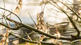 Zimowy poranek w Piszu nad Pisą, styczeń 2023 - zdjęcie 8